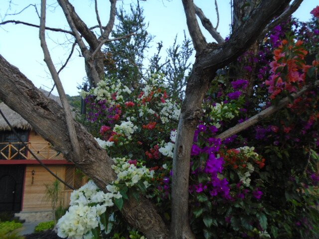 Villa Armonia Hotel & Spa主图