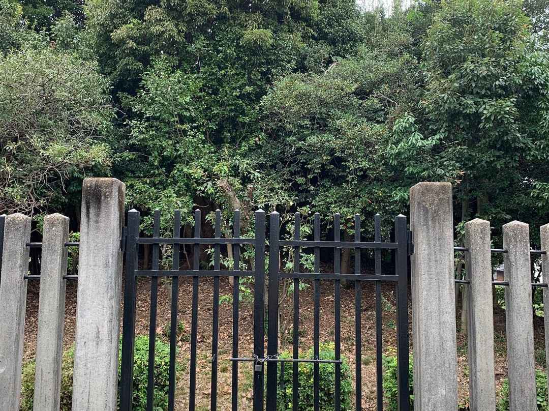 The Emperor Junna Antinent Cremation Tomb-向日市必去景点