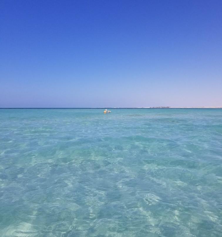 Luxury Chalet La Hacienda主图