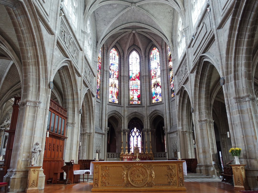 Cathédrale Saint-Louis景点图片