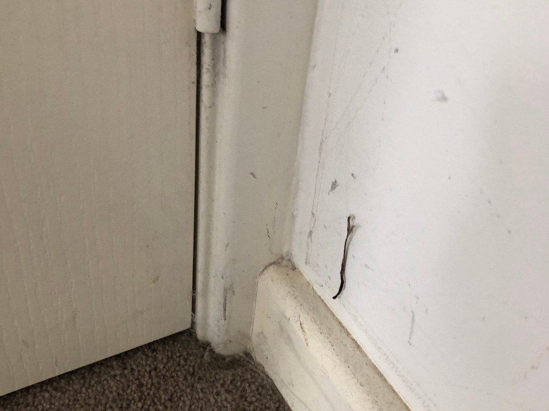 Cape View Beach Resort主图