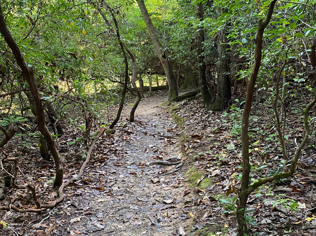 Occoneechee Mountain State Natural Area景点图片