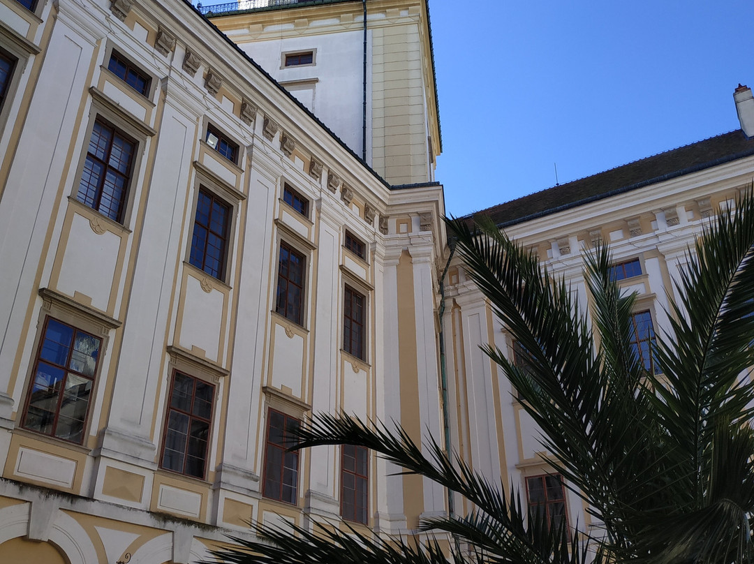 Archbishop’s Château and Gardens景点图片