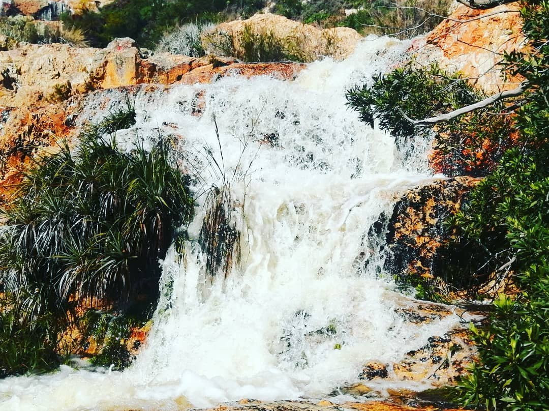 Waterfall Hiking Trails景点图片