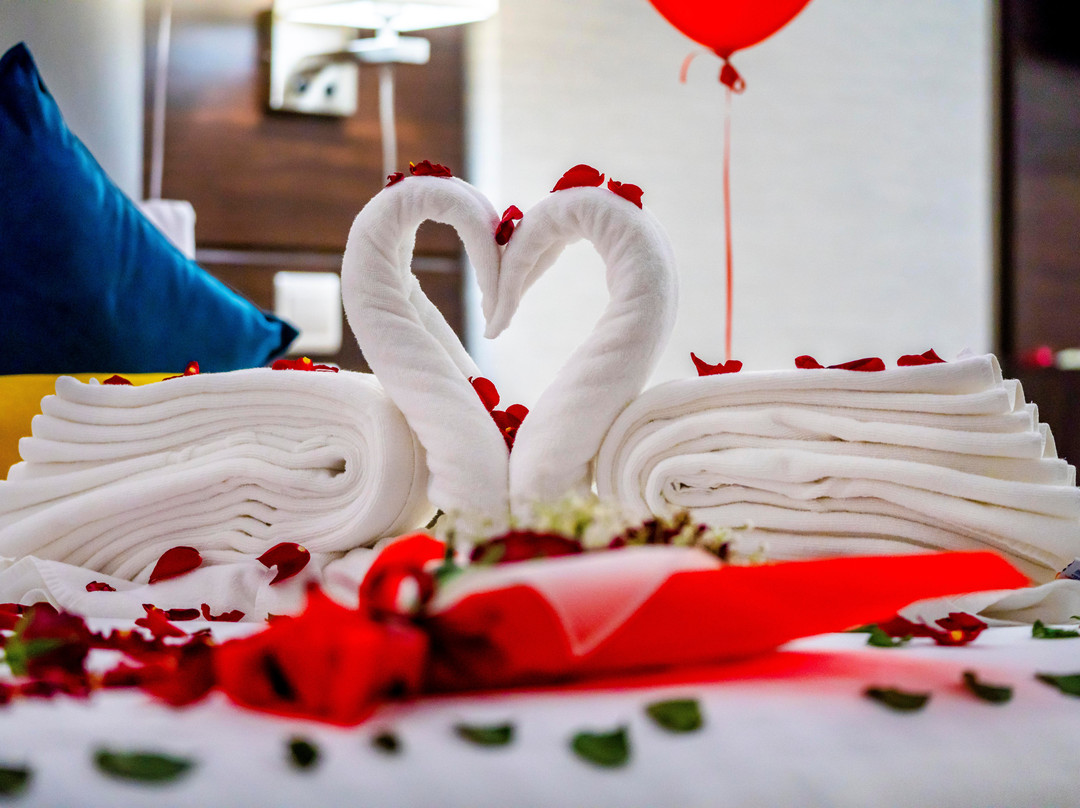 Holiday Villa Hail主图