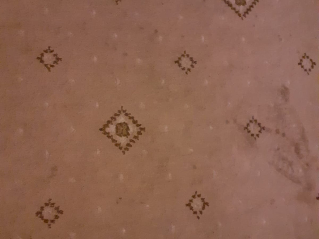 The White Horse Hotel主图