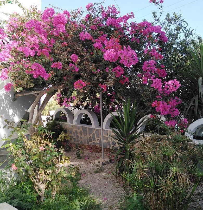 洛多斯酒店主图