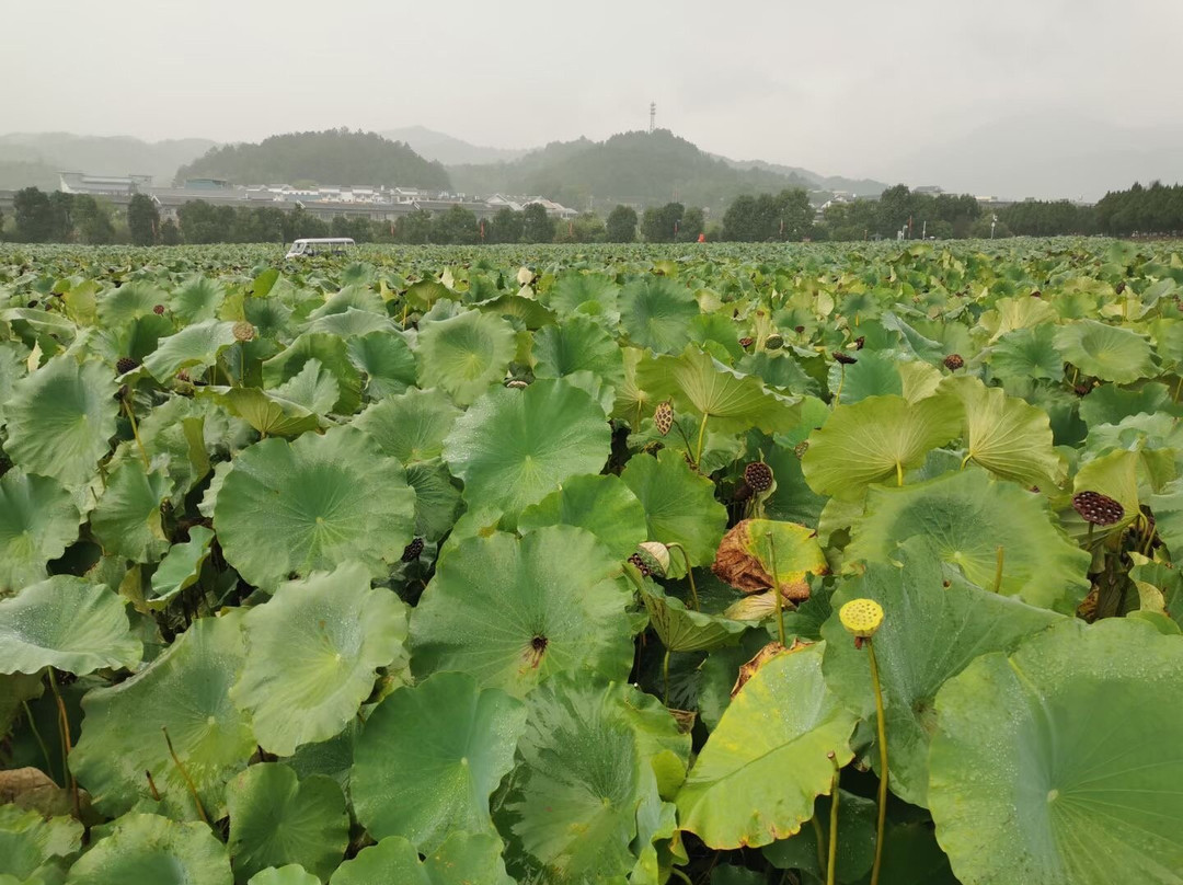 古田会议旧址-上杭县必去景点