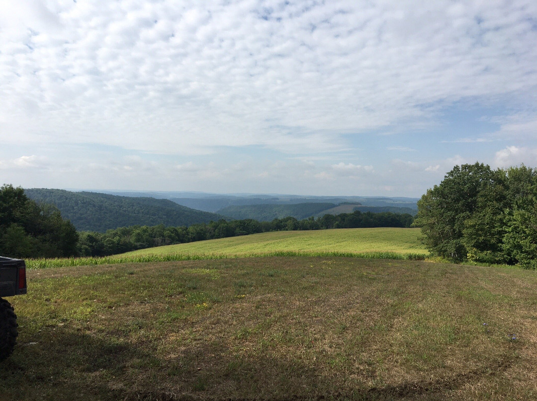 Button's Creekside Farm Bed & Breakfast主图