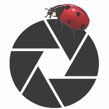 Aussie Macro Photos-凯恩斯必去景点