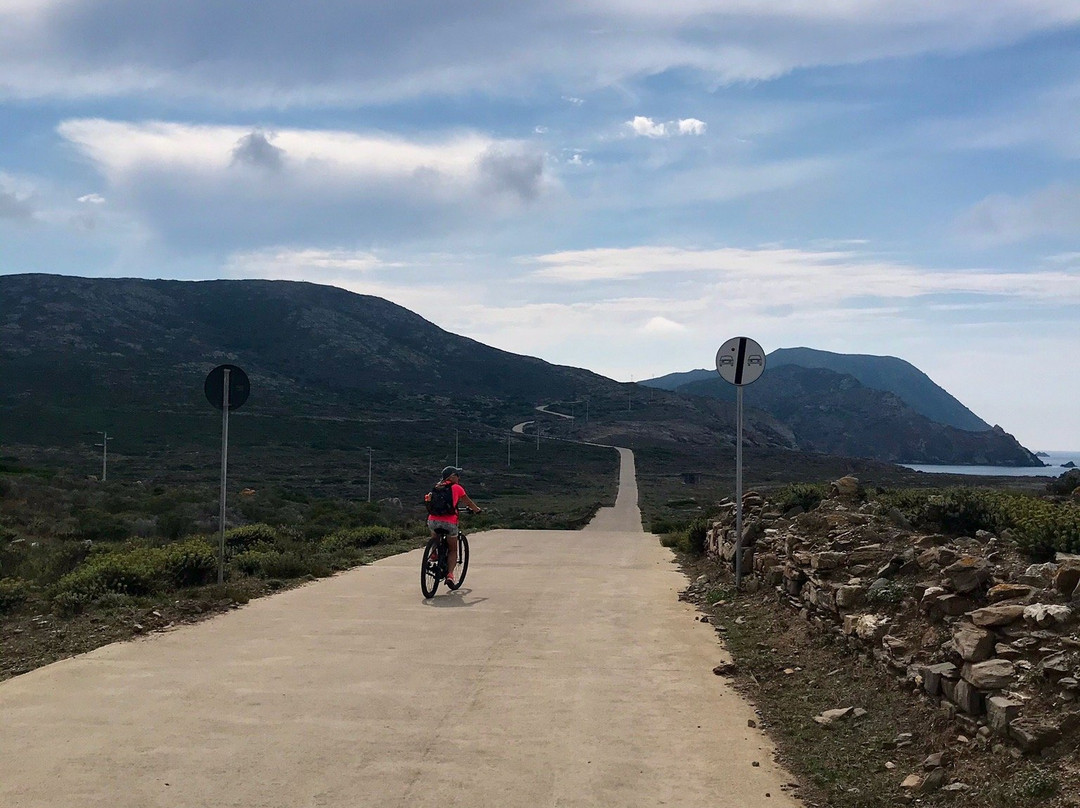 Windsurfing Center Stintino - Noleggio Biciclette Asinara-Asinara必去景点