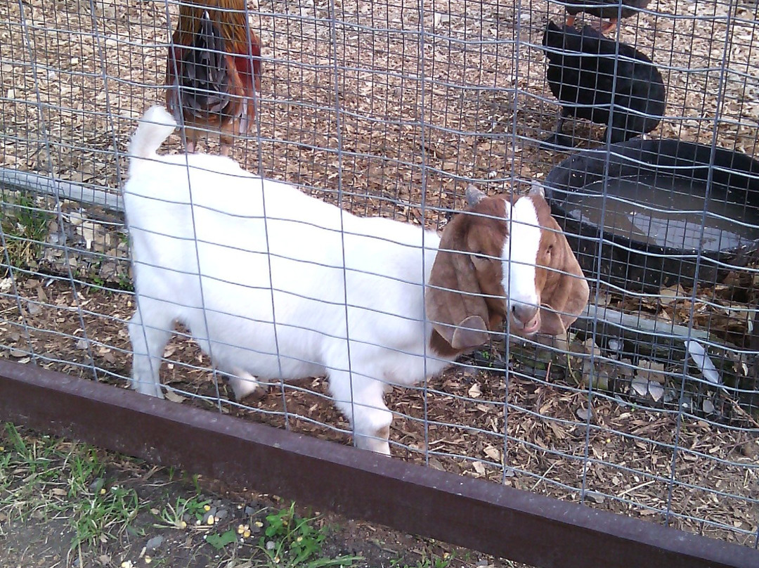 Les Vergers Lafrance-Saint-Joseph-du-Lac必去景点