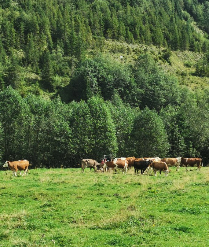 Stausee Durlassboden-加洛斯必去景点