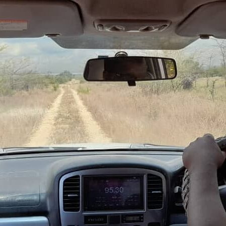 null-Saadani National Park