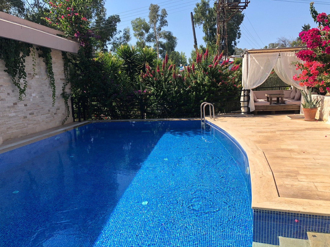 Dardanos Hotel主图