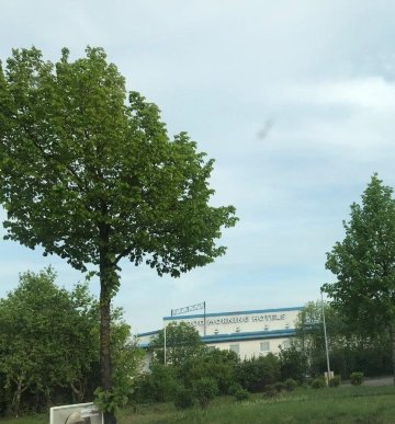 爱尔福特早安酒店-浴室