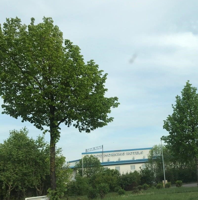 爱尔福特早安酒店主图