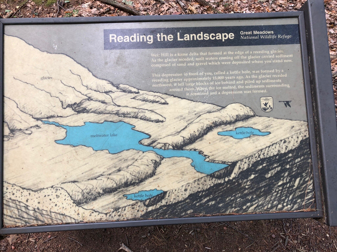 Great Meadows Wildlife Refuge景点图片