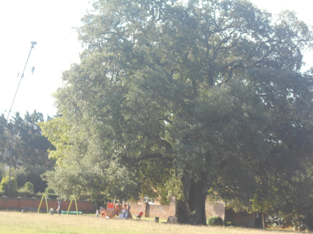 Elmhurst Park景点图片