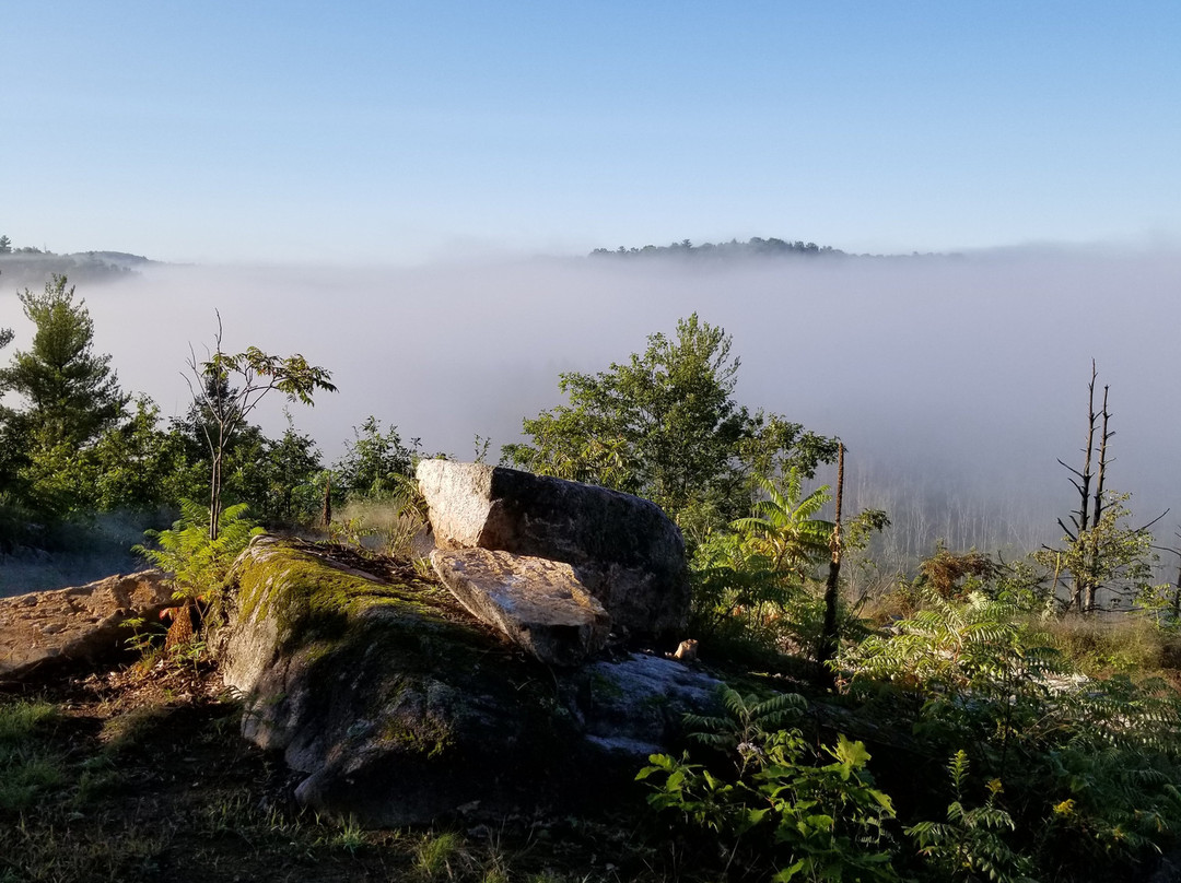 Eco-Odyssee-Wakefield必去景点