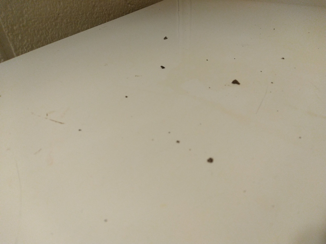 Thunderbird Motel主图