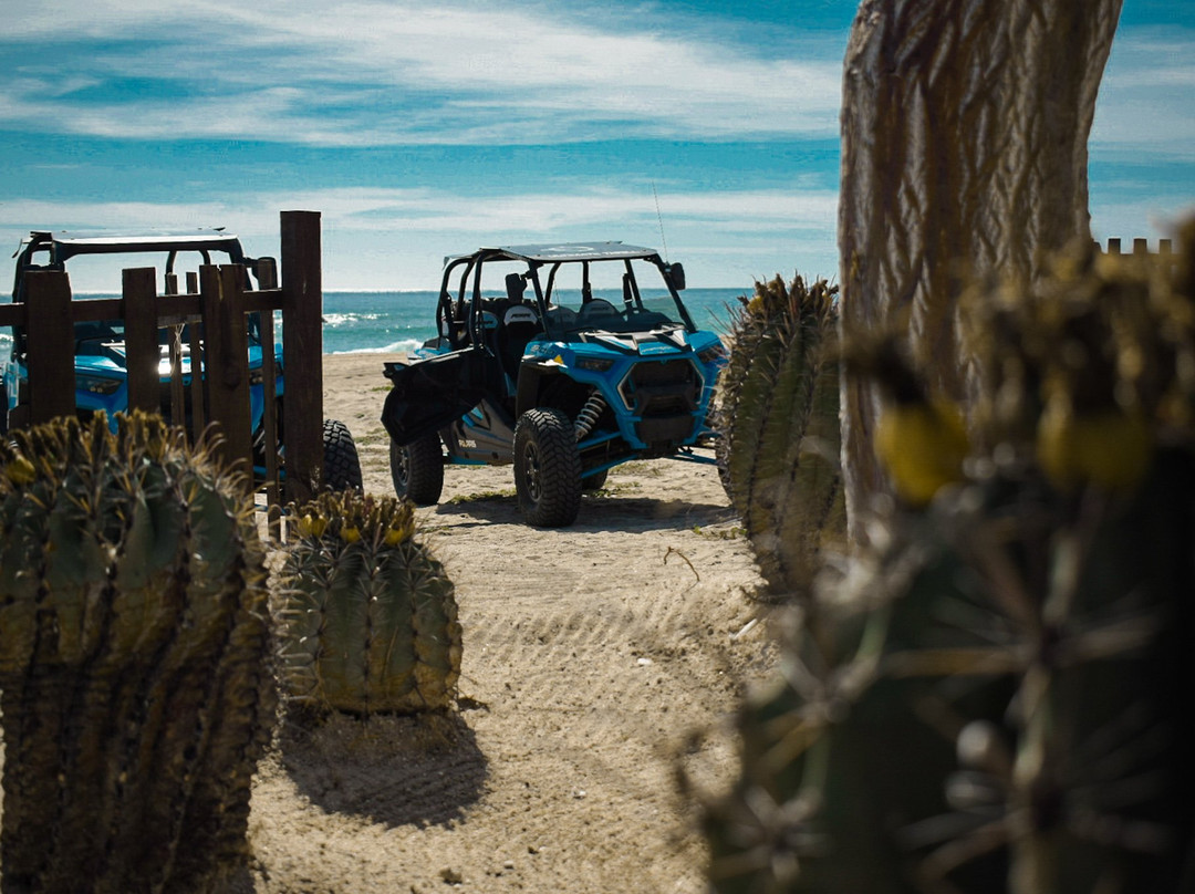 Ultimate Thrill-圣何塞卡波必去景点