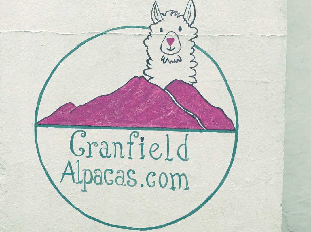 Cranfield Alpacas (alpaca Experiences In The Mournes).景点图片