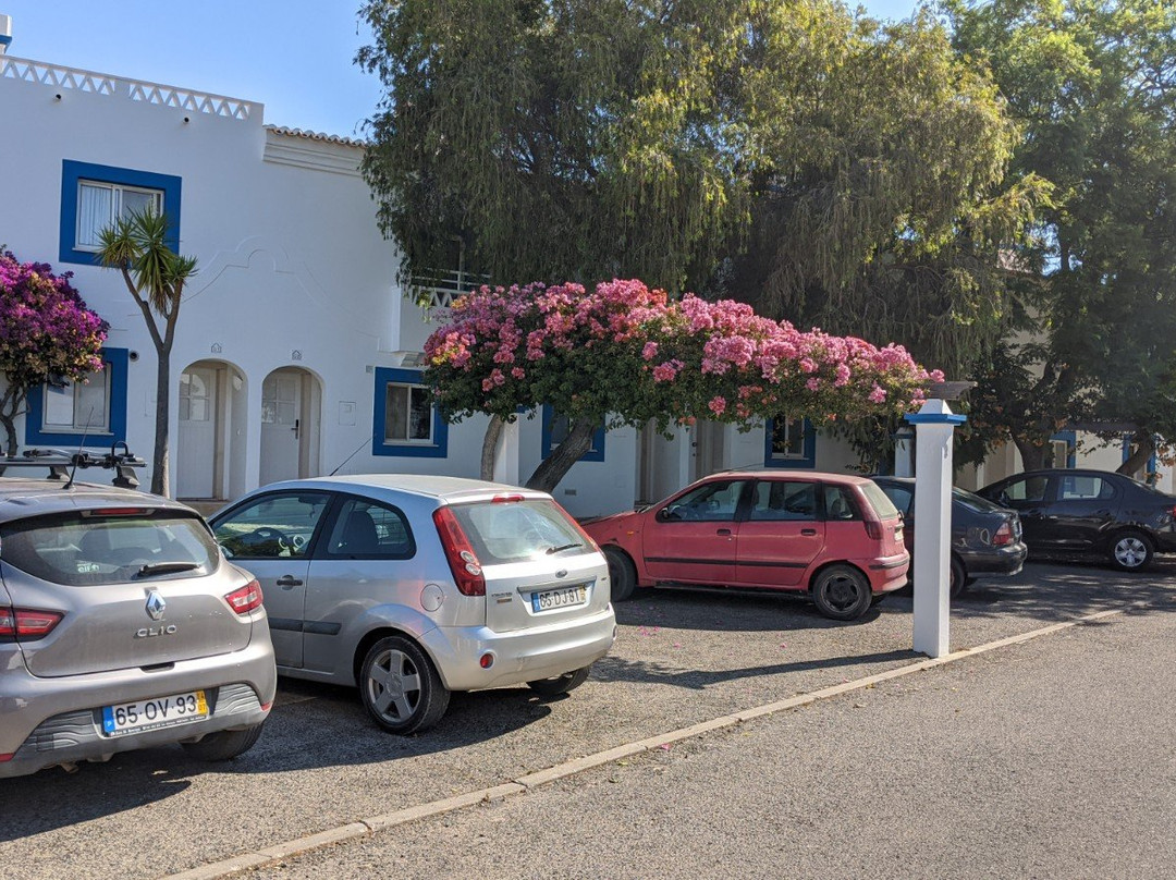 Pestana Palm Gardens主图