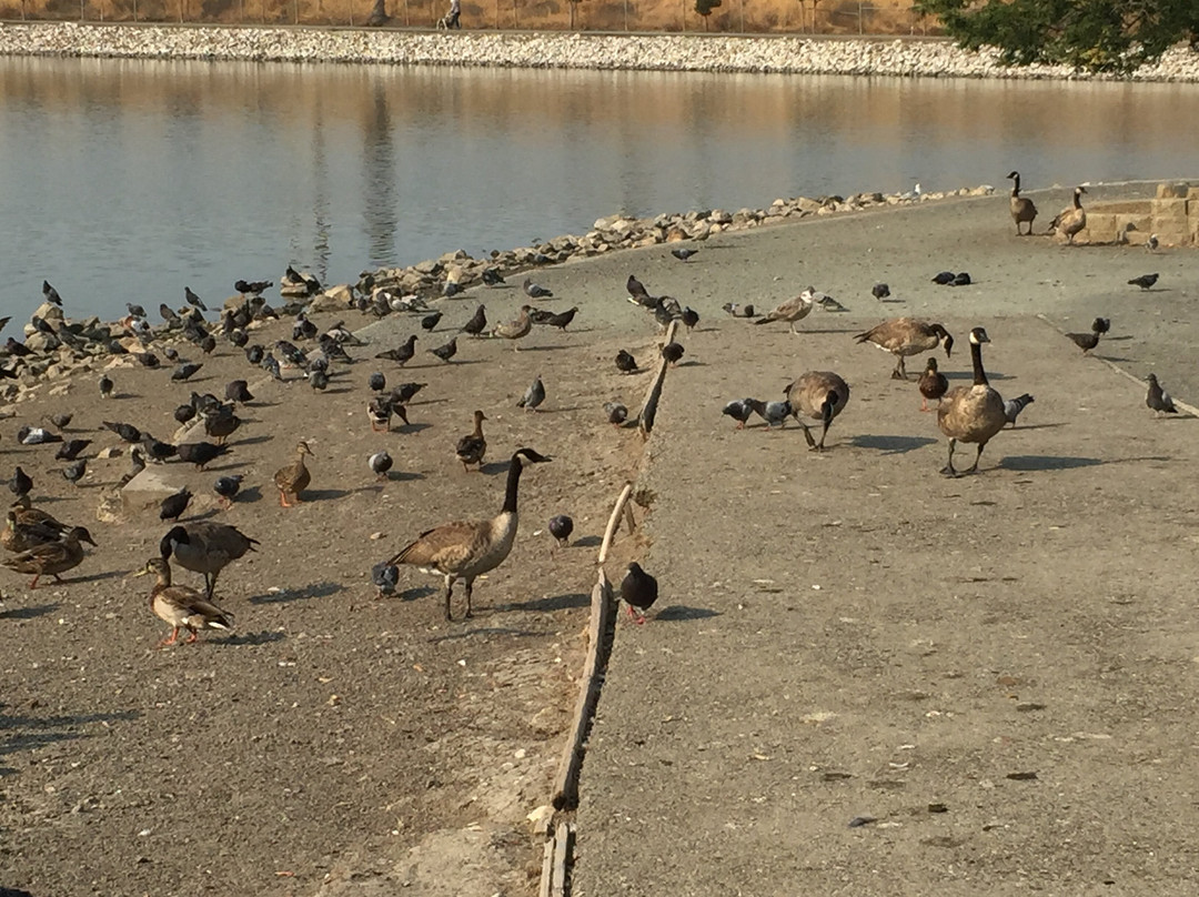 Hidden Lake Park-米尔皮塔斯必去景点