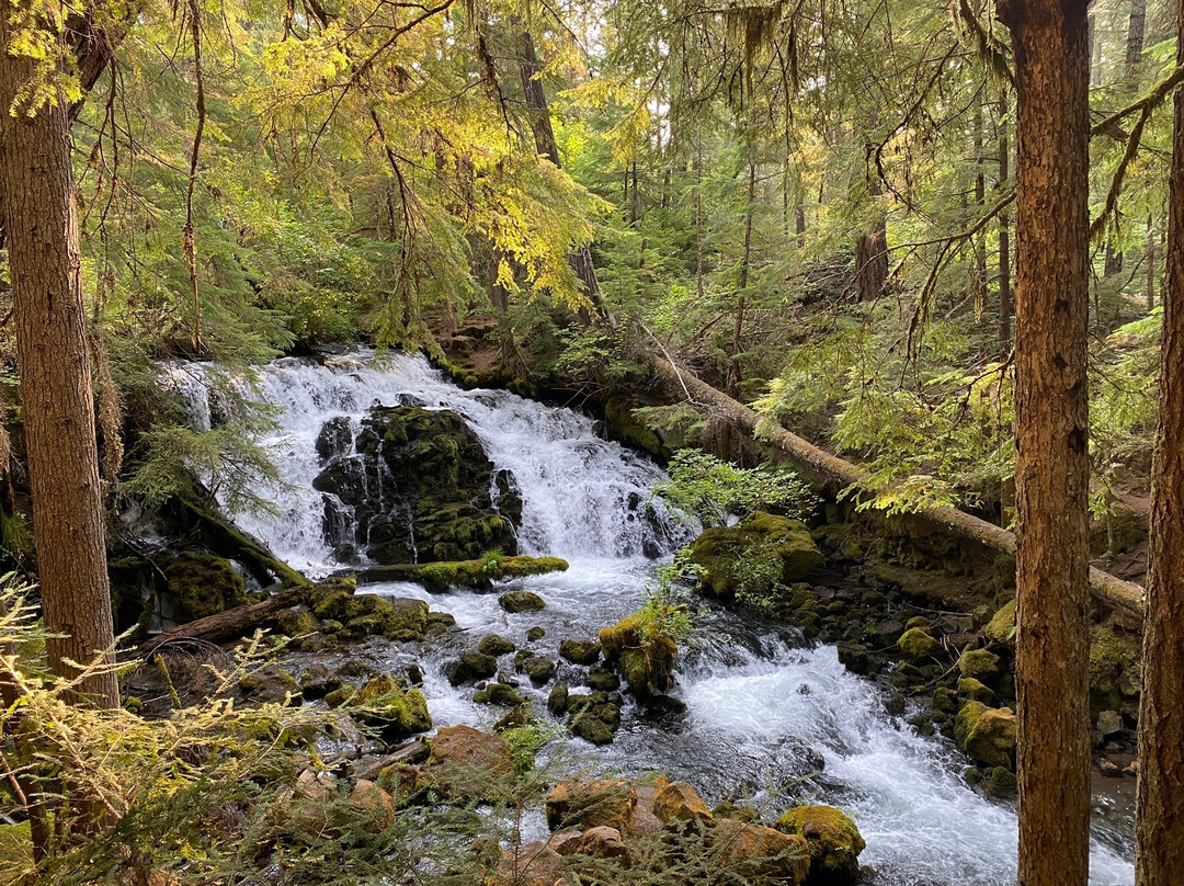 Pearsony Falls-Prospect必去景点