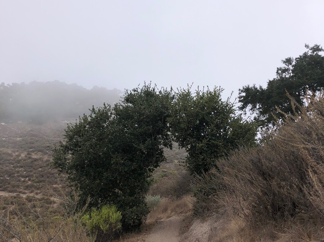 Pismo Preserve-庇斯摩海滩必去景点