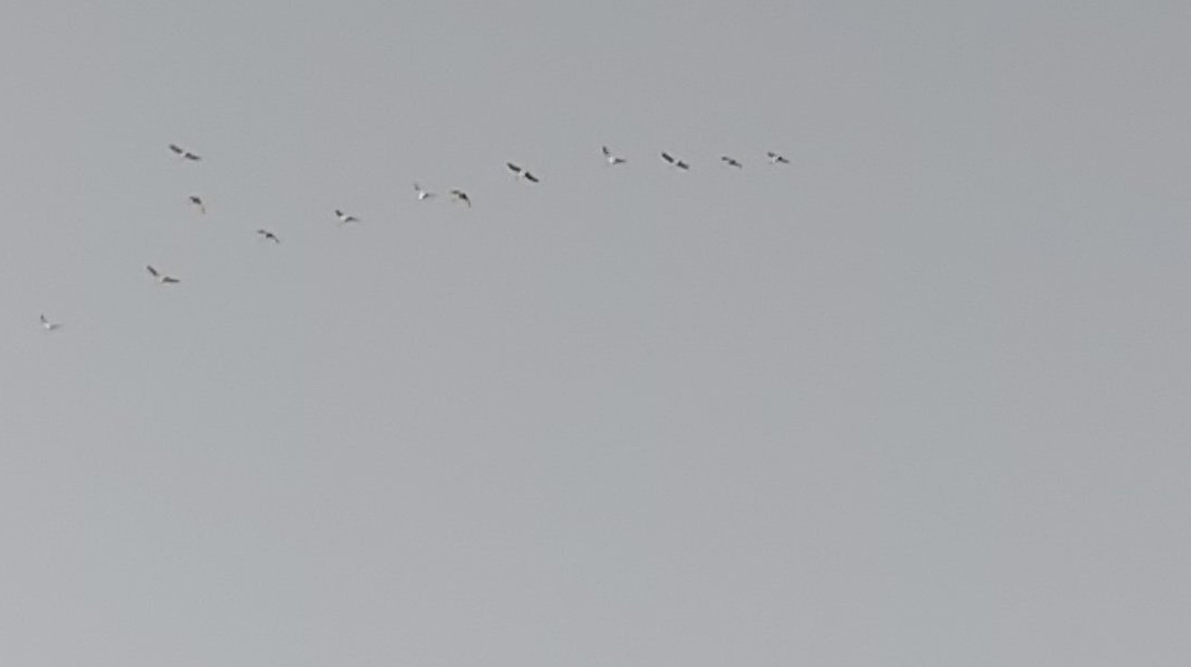 Solmar Vacanze主图