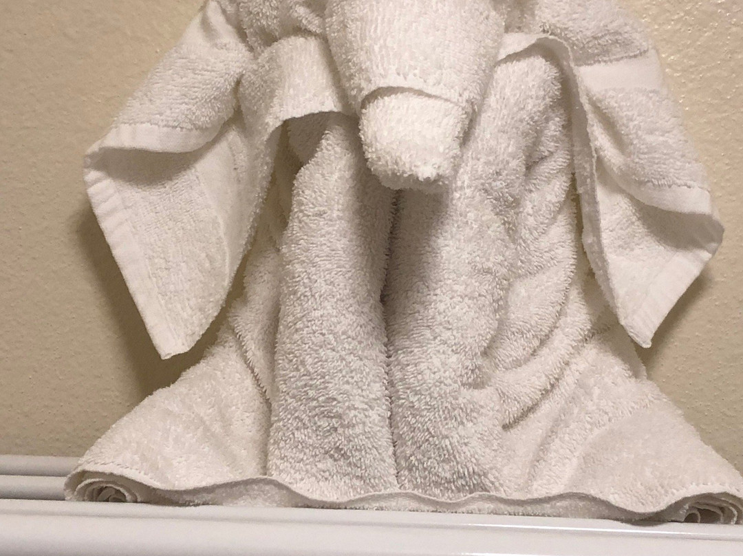 Econo Lodge - Mayo Clinic Area主图