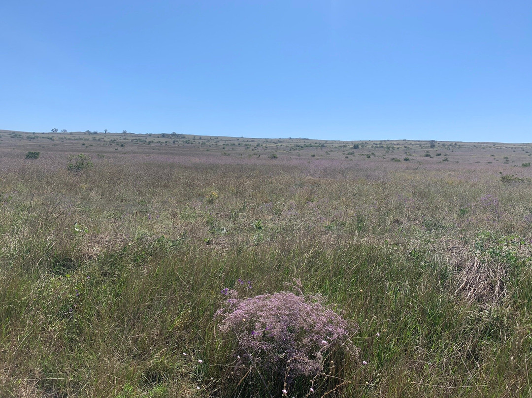 Kazantypskiy State Nature Reserve-Shcholkine必去景点