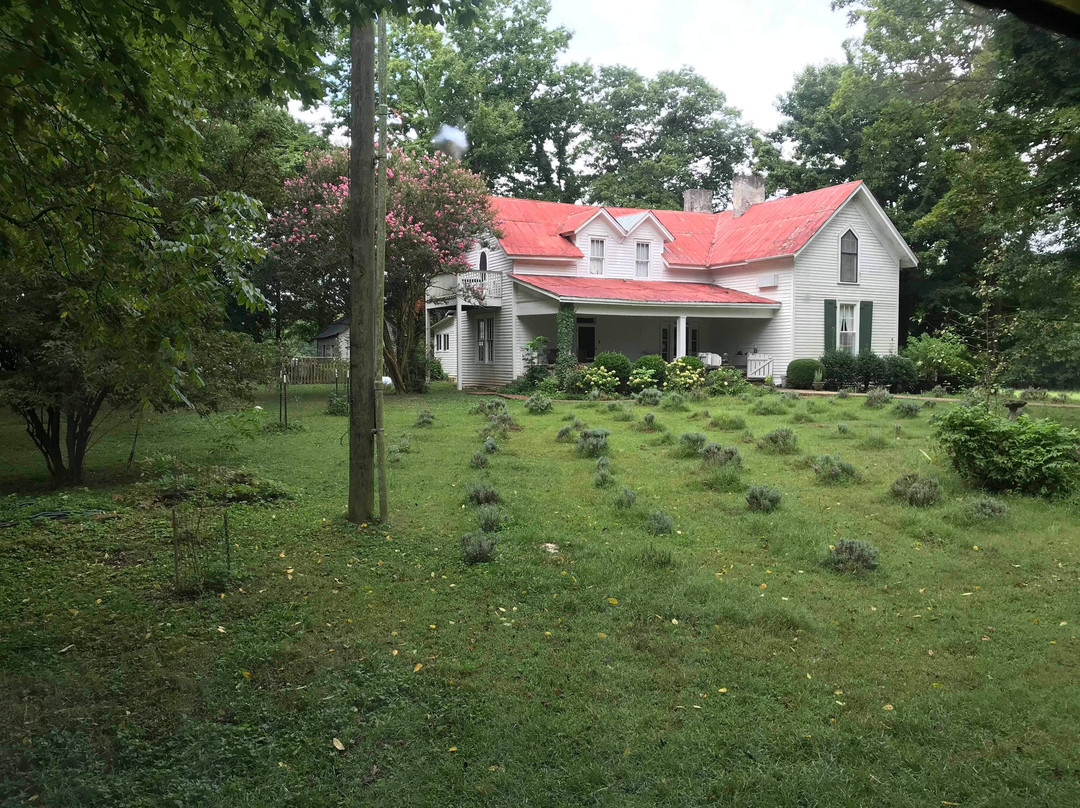 Mulberry Lavender Farm and B&B主图