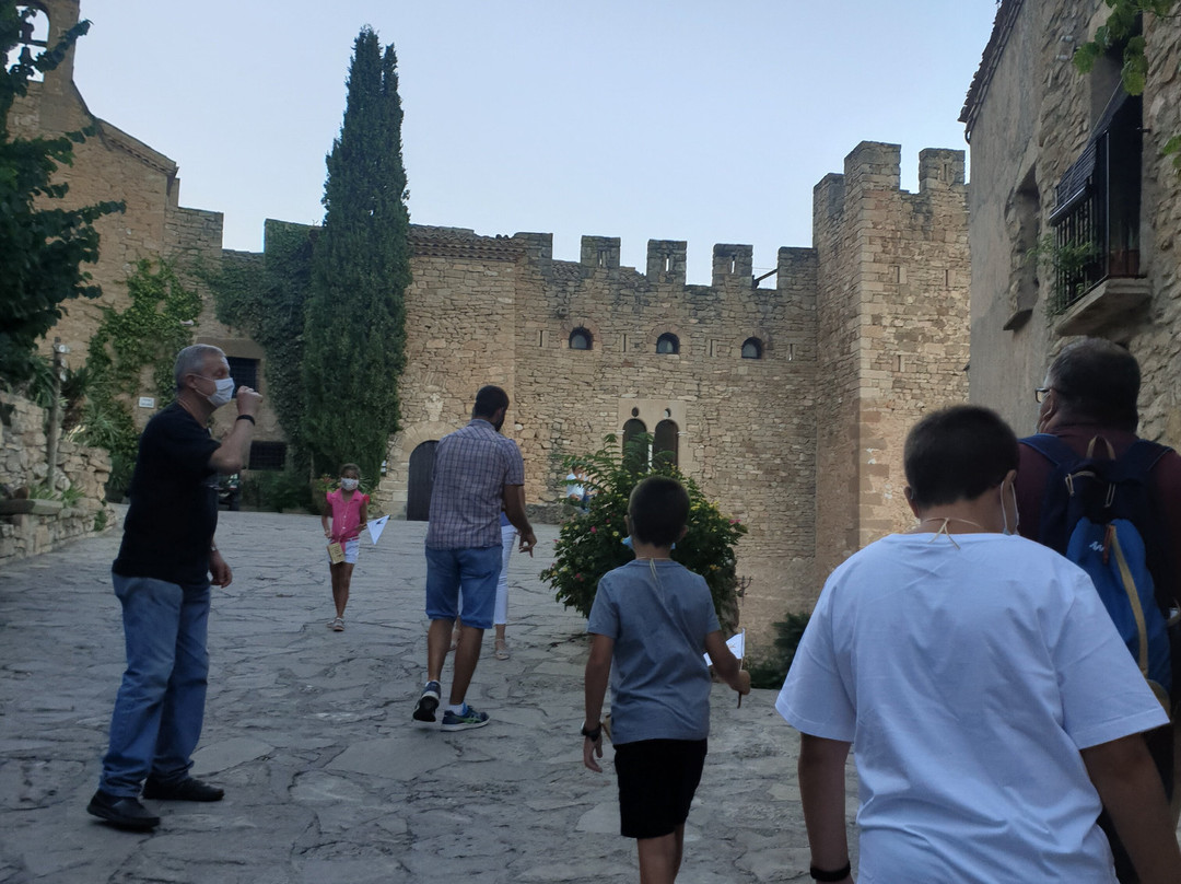Castell De Montsonis景点图片