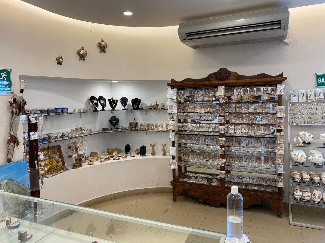 CASA DEL ARTESANO SUDCALIFORNIANO-拉巴斯必去景点