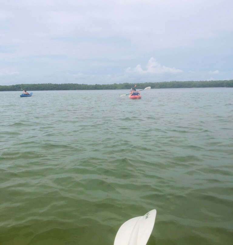 Island Kayak Tours, Llc-Tierra Verde必去景点