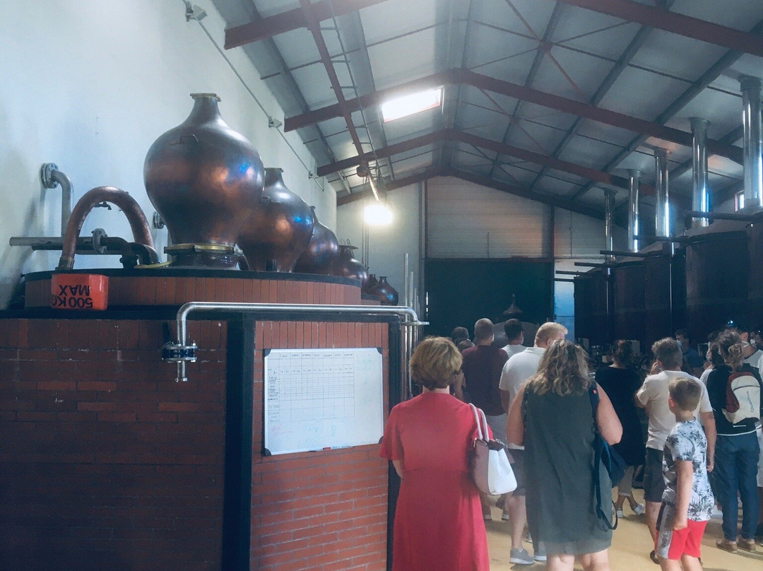 Distillerie景点图片