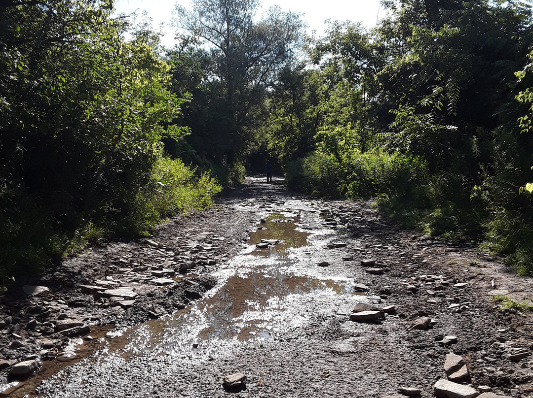 Culham Trail-米西索加必去景点