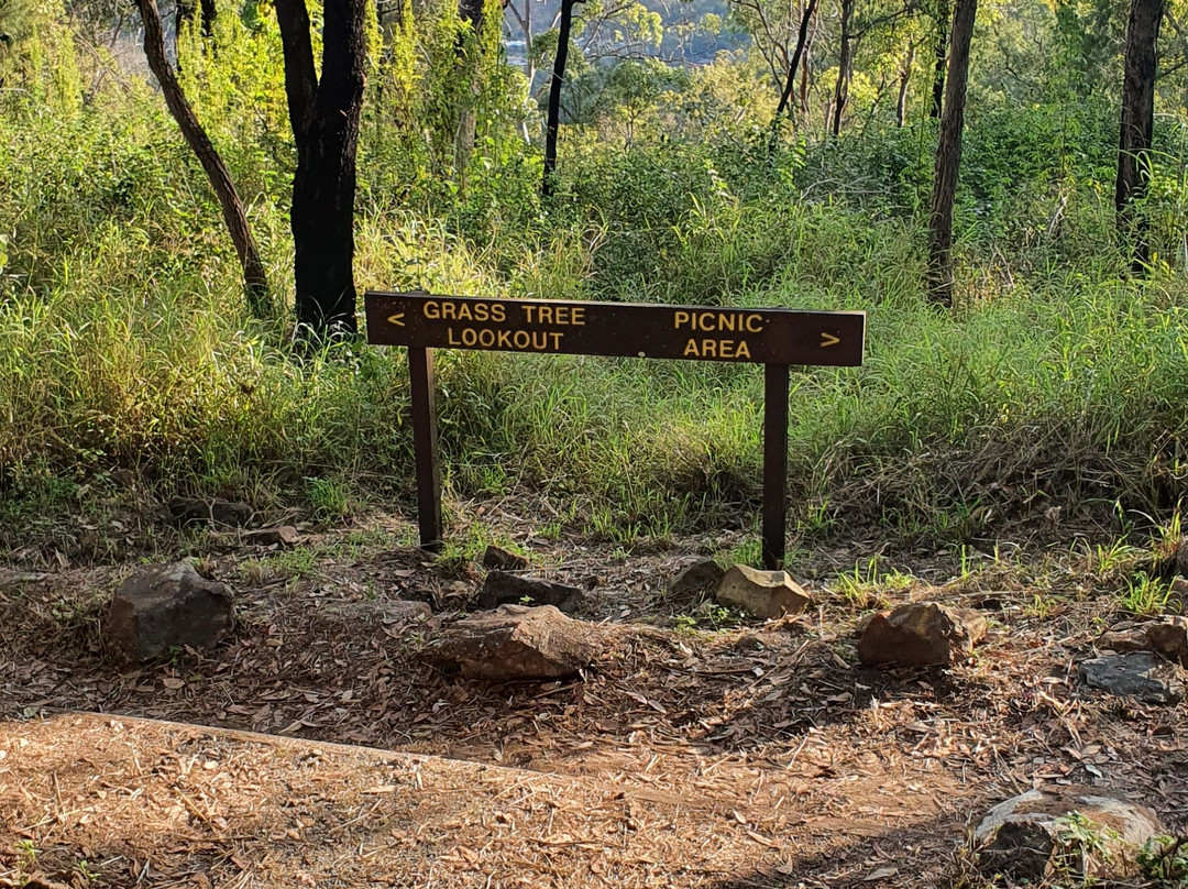 Grasstree Lookout-罗克汉普顿必去景点