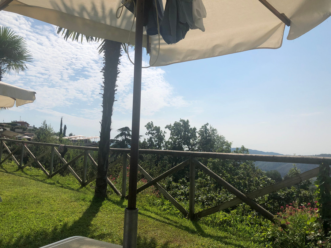 马德利嘉雷酒店主图