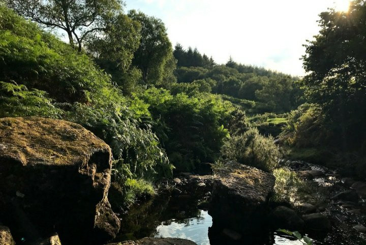 Biglees Waterfall景点图片