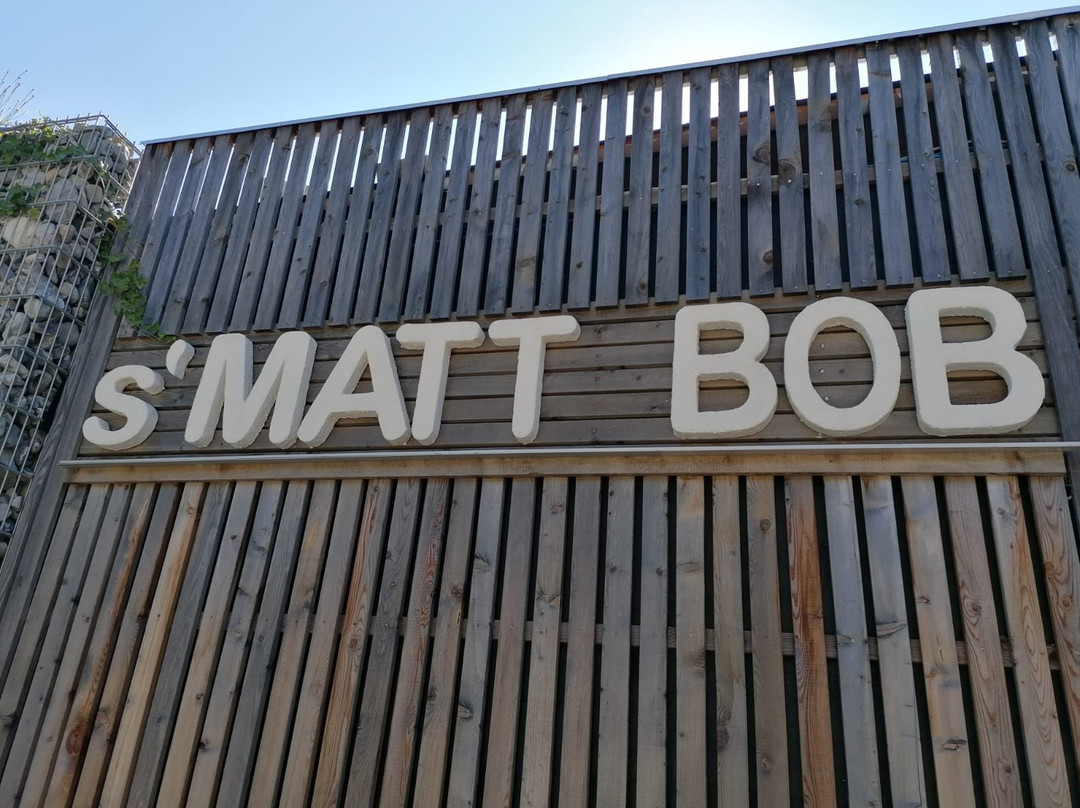 s'Matt Bob主图