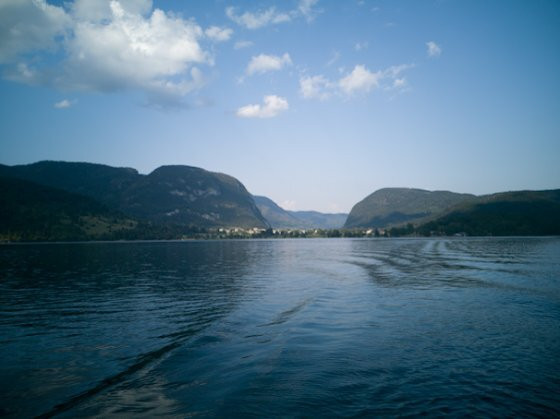 Boat Bohinj景点图片
