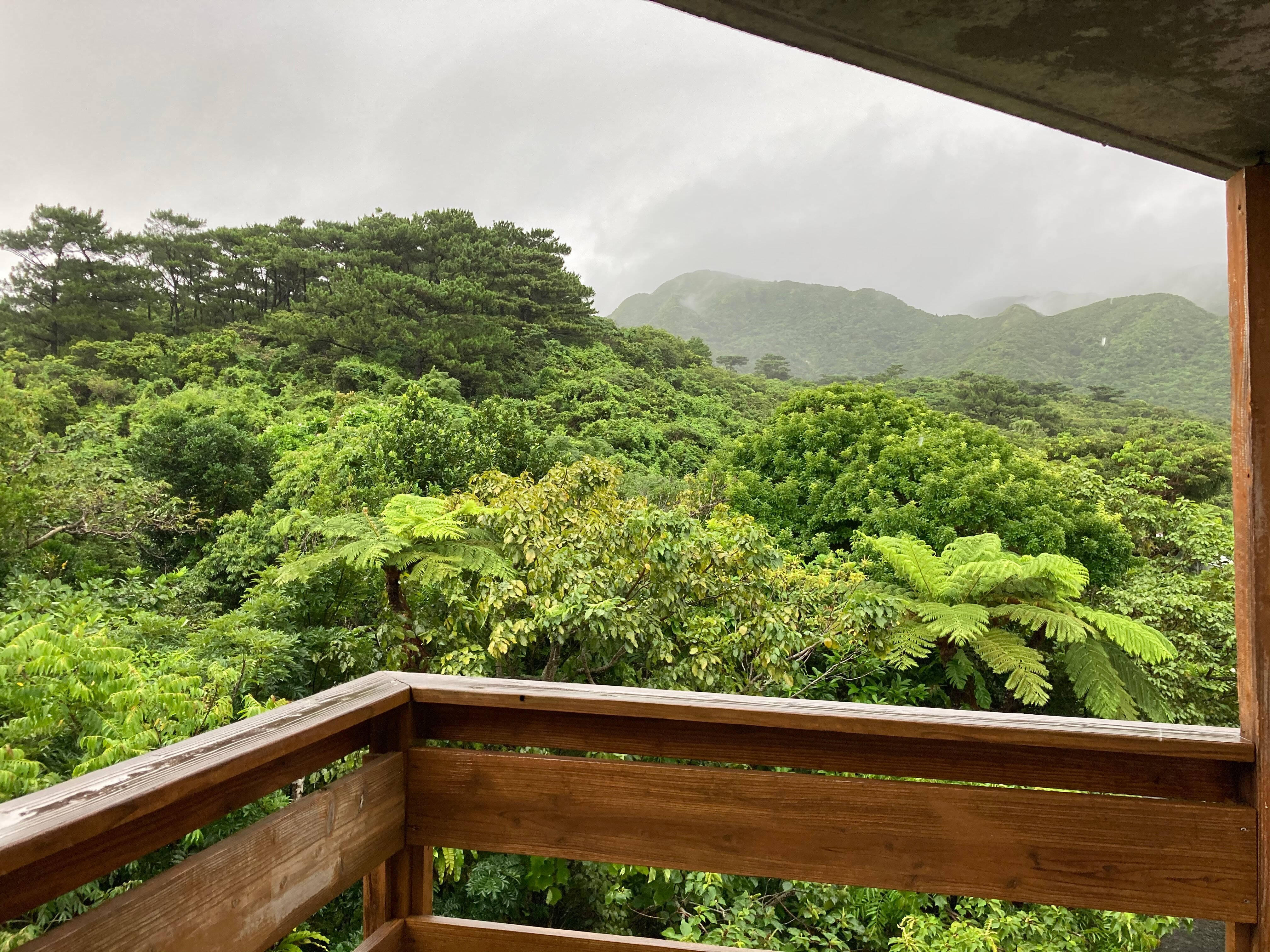 Jungle Hotel Painu Maya-酒店景观
