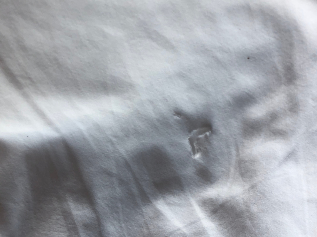 Wingate by Wyndham Tupelo主图