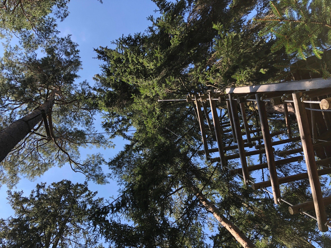 Münchner Wald Kletterwald Vaterstetten-Vaterstetten必去景点