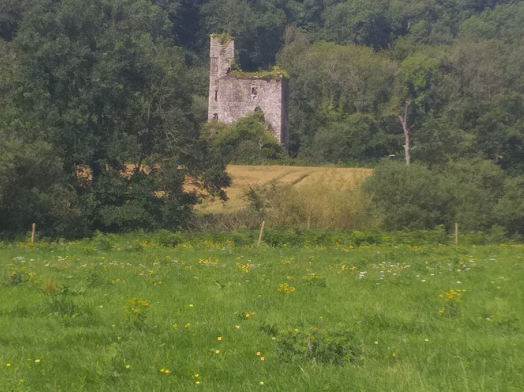 Kilkenny Eco Tours-Thomastown必去景点