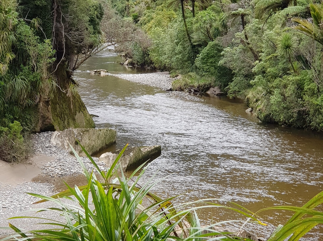 Pororari River Track景点图片